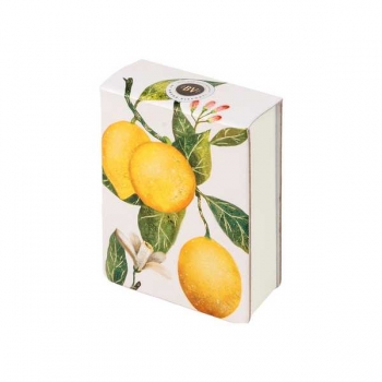 Блокнот А7 250л  Bruno Visconti SMART JOURNAL.ФЛОРА.Райские лимоны, отрывной блок, без линовки, тв.обл.  арт.3-558/07
