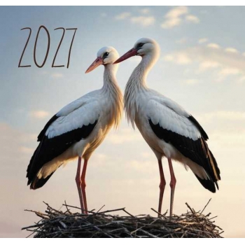 Календарь настенный МИНИ на 2027г.Два аиста 9х16,5см на 1пружине(на магните) арт.26С143_Два аиста