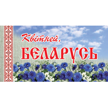 Флажок махательный Квiтней, Беларусь, 20*10см,  на пластиковой палочке арт.10с60