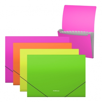 Портфель-картотека А4 ErichKrause Matt Neon пластиковая, 12 отделений, ассорти арт.50428