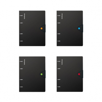 Тетрадь А5 80л на кольцах ErichKrause Accent,  пластиковая обложка, на кнопке, ассорти арт.51429