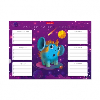 Расписание уроков А4 ErichKrause Коты в космосе арт.58303