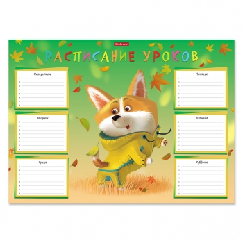 Расписание уроков A3 ErichKrause Корги, арт.53169