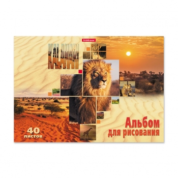 Альбом для рисов. А4 40л. ErichKrause Kalahari, клеевое скрепление арт.53180