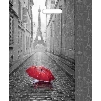 Мешок 45х38см ПВД 60мкм ламинированный с вырубной ручкой, Мой Париж арт.н00084575