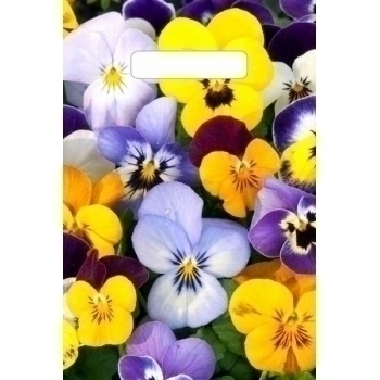 Мешок 30х20см ПВД 30мкм с вырубной неукрепленной ручкой, Анютины глазки NEW арт.н00128841