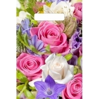 Мешок 30х20см ПВД 30мкм с вырубной неукрепленной ручкой, Лирика арт.н00128840