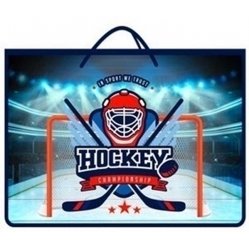 Папка А4 с ручками, пластик арт. ПТ-15 Хоккей эмблема