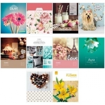 Тетрадь 96л в клетку ArtSpace ЭКОНОМ Микс. Girl s collection арт.Т96кЭ_23604