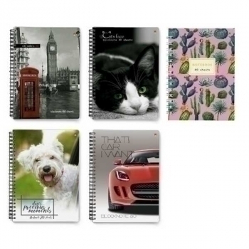 Блокнот А6 80л с боковой спиралью, в клетку, ассорти 5 видов арт.3-80-032