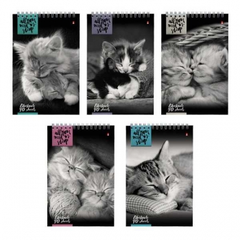 Блокнот А5 40л на гребне Кошки в клетку, ассорти 5 видов арт.3-40-462