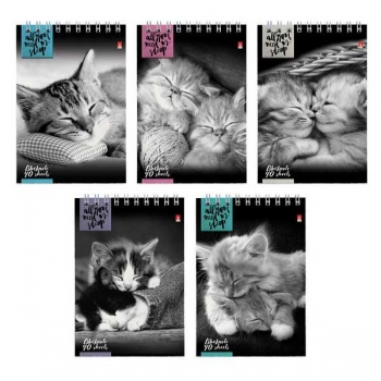 Блокнот А6 40л на гребне Котята в клетку, ассорти 5 видов арт.3-40-028