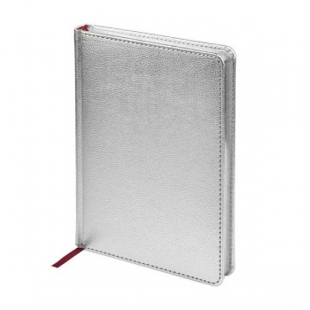 Ежедневник А5+ 145*205 мм, недатир. Bruno Visconti SIDNEY NEBRASKA 272 стр, серебр. срез, серебро арт.3-128/10