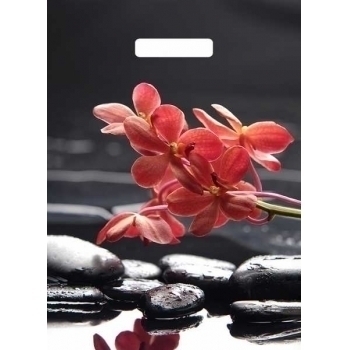 Мешок 40х31см ПВД 60мкм ламинированный с вырубной ручкой, Гармония NEW арт.н00170128