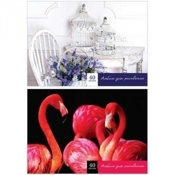 Альбом для рисов. А4 40л. Яркий акцент, клеевое скрепление арт.А40кл_14809