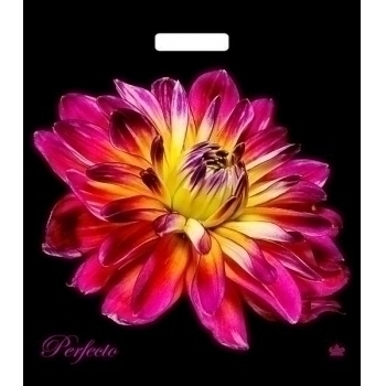 Мешок 48х42см ПВД соэкструзия 90мкм с вырубной ручкой, Перфекто Герцогиня арт.н00198230