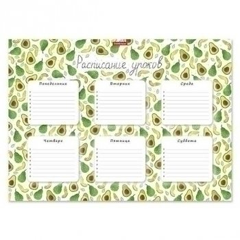 Расписание уроков A3 ErichKrause Яркие дольки арт.53171