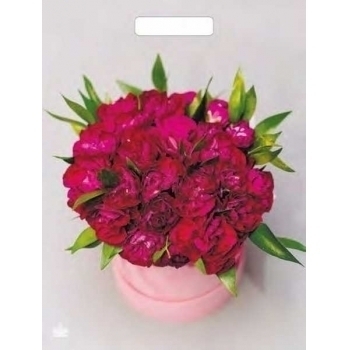 Мешок 40х31см ПВД 60мкм глянцевый с вырубной ручкой, Букет пионов арт.н00208156