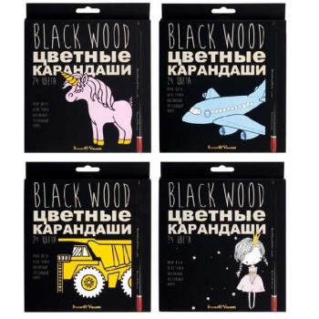 Карандаши Bruno Visconti  24цв BLACK EXCELLENCE пластиковые,трехгранные,черный корп,4 вида,в картонной уп. арт.30-0099