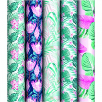 Бумага подарочная 70*100см, Мангровый лес в рулонах, 90 г/м2, 1 лист, глянцевая, ассорти арт.М100_40605