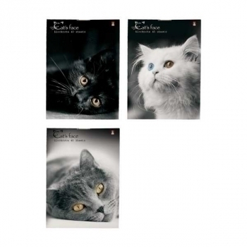 Блокнот А7 40л на скрепке Кошки в клетку, ассорти 3 вида арт.3-40-519