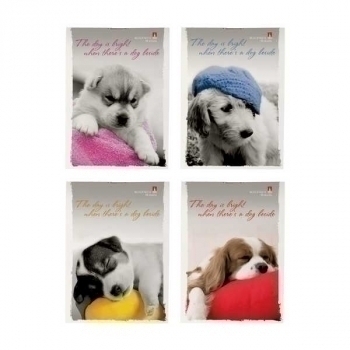 Блокнот А7 40л на скрепке Щеночки в клетку, ассорти 4 вида арт.3-40-107