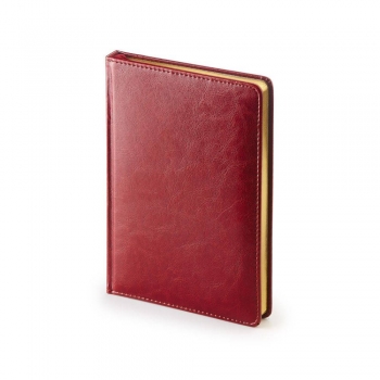 Ежедневник А5+ 145*205 мм, недатир. Bruno Visconti SIDNEY NEBRASKA 272 стр, тв.обл,золотой срез,бордовый  арт.3-128/01