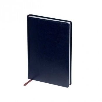 Ежедневник А5+ 145*205 мм, недатир. Bruno Visconti SIDNEY NEBRASKA 272 стр, тв. обл., синий  арт.3-128/13