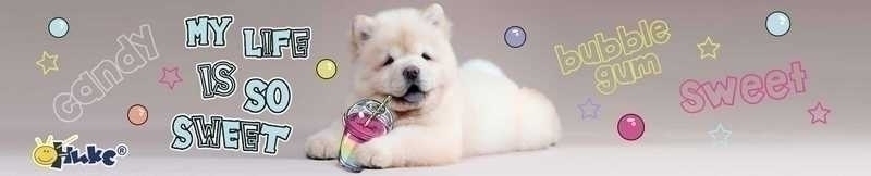Закладка 40х220 мм, пластик, арт. 3-1 Sweet dog Закладка 40х220 мм, пластик, арт. 3-1 Sweet dog