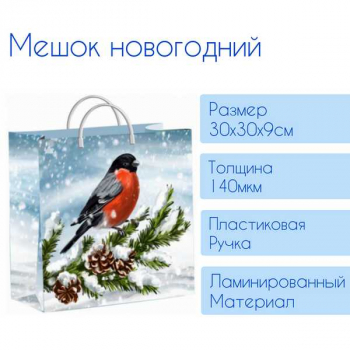 Мешок  новогодний 30х30х9см мягкий пластик 140мкм ламинированный с пластиковой ручкой, Снегирек арт.н00225655 Мешок  новогодний 30х30х9см мягкий пластик 140мкм ламинированный с пластиковой ручкой, Снегирек арт.н00225655