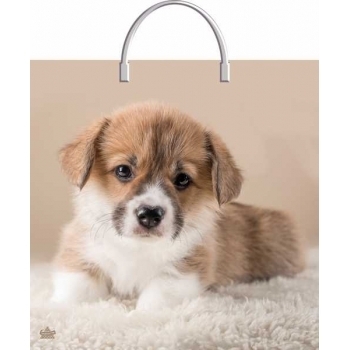 Мешок 35х36см ПВД 85мкм с пластиковой ручкой, Мой дружок арт.н00229731