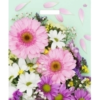 Мешок 45х38см ПВД 60мкм глянцевый с вырубной ручкой, Нежные герберы арт.н00229387