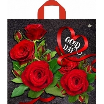 Мешок 42х44см ПВД 70мкм с петлевой ручкой, Отличный день арт.н00228274