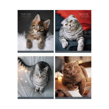 Тетрадь 96л в клетку ArtSpace Питомцы. Cat арт.Т96к_45899