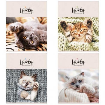 Тетрадь 48л в клетку ArtSpace ЭКОНОМ Питомцы. Lovely Cat арт.Т48кС_42948