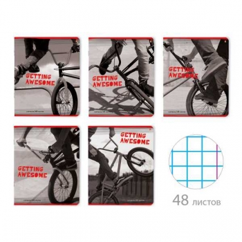 Тетрадь 48л в клетку Альт СТРИТБАЙК, ассорти 5 видов арт.7-48-186