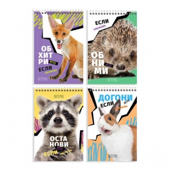 Блокнот А6 40л на гребне BG Если сможешь в клетку арт.Б6гр40 12216