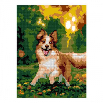 Алмазная мозаика LORI 30*40см Веселый бордер-колли (частичное заполнение, без деревянного подрамника) арт.Ам-067
