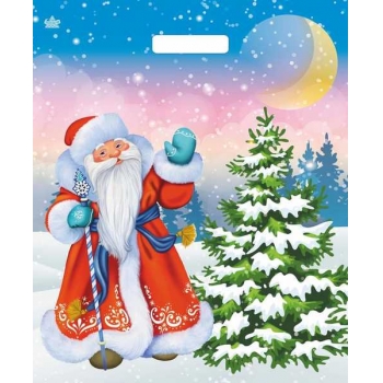 Мешок  новогодний 45х38см ПВД 60мкм глянцевый с вырубной ручкой, Привет от Мороза арт.н00246123