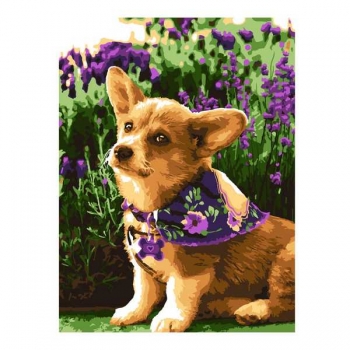 Набор для рисования по номерам, картина 31х40 см Милый корги (холст на подрамнике, краски, кисть) арт.Рх-141