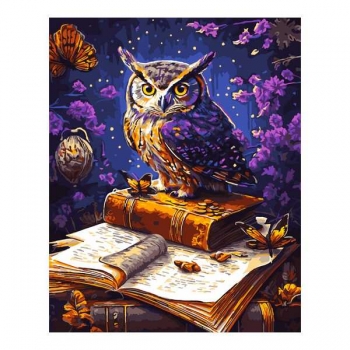 Набор для рисования по номерам, картина 41х51 см Мудрая сова (холст на подрамнике, краски, кисть) арт.Рх-152