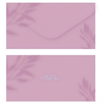 Конверт для денег 85*164мм MESHU Purple Orchid, soft-touch, фольга арт.MS_55122