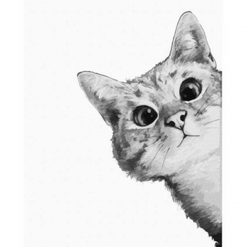 Набор для рисования по номерам, картина 40х50 см Любопытный кот (холст на раме,акриловые краски,3 кисти) арт.NP7