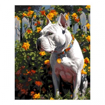 Набор для рисования по номерам, картина 41х51 см Защитник (холст на подрамнике, краски, кисть) арт.Рх-159