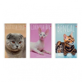 Блокнот А6 40л на скрепке Кошки в клетку, ассорти 3 вида арт.3-40-110