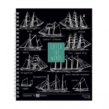 Тетрадь 96л в кл. Альт BLUEPRINT на СПИРАЛИ, ассорти 5 видов арт.7-96-1300