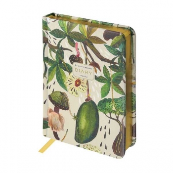 Ежедневник А6+ 110*155 мм, недатир. Bruno Visconti  Баобаб 240 стр, тв.обл, золотой срез арт.3-745/04