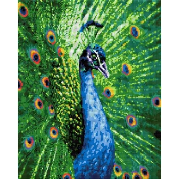 Алмазная мозаика LORI 40*50см Павлин (полное заполнение, без деревянного подрамника) арт.Ам-122