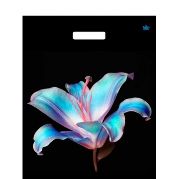 Мешок 45х38см ПВД 60мкм ламинированный с вырубной ручкой, Лила арт.н00268704