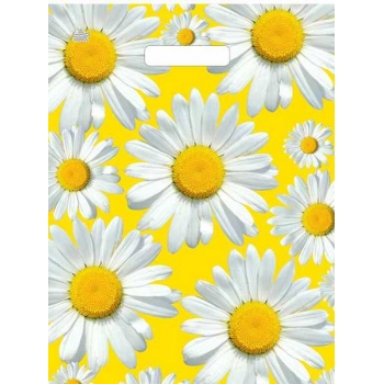 Мешок 45х34см ПНД 33мкм с вырубной ручкой, Солнечные ромашки арт.н00269305